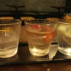 Gintasting - drei Varianten pro Person 🍸