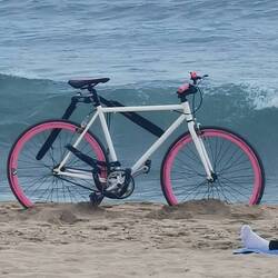 Eigentlich mag ich ja kein pink, aber bei dem Bild...