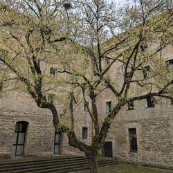 The courtyard of the hostel