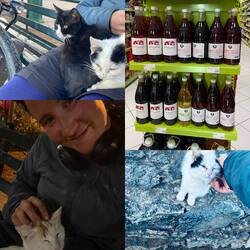 Katzen und Wein, was könnt schöner sein?