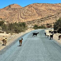 Weiter geht's zum CP