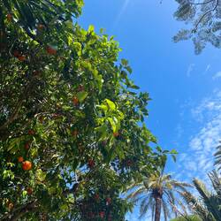 Auch wenn es die Bilder anders vermuten lassen, war..