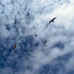 ..es doch durchgehend stark windig..