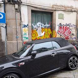 Möve hets hie mega viu! 😂