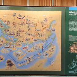 Everglades Visiter Center