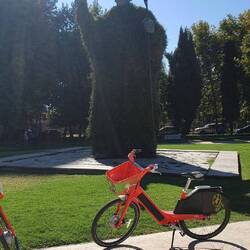 Im Park steht auch ein pflanzlicher ehemaliger Papst (span. ex Papa 😂): Juan Pablo 2