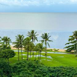 Looks like the ground has absorbed all the rain that it can — Cairns, QLD.