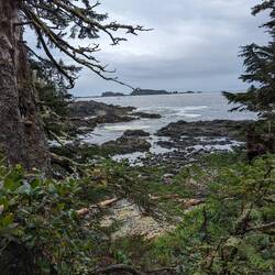 Meer, ucluelet