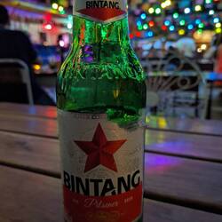 Der Tiger wird zum Bintang