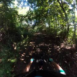 One of the sporadic wooded sections of route 41.