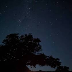 Milchstraße am Lagerfeuer genießen