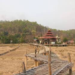 Bamboo bridge