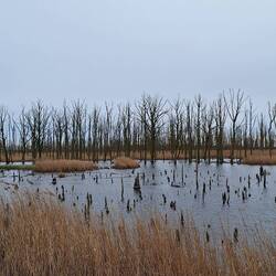 Unwirkliche Gegend, aber so schön