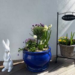 Little easter decoration at the entrance of my parents house