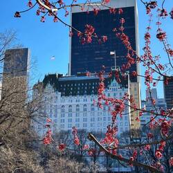 Plaza Hotel