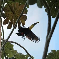 So, jetzt aber Abflug!