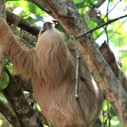 ... und steigende Gelassenheit sorgt!😎