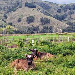🤍liche Grüße von der Finca Castillo de Altura