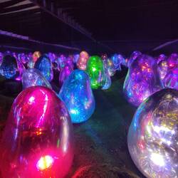 Teamlabs Planet digital exposition