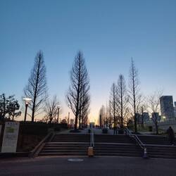 Toyosu Roku-chome Park 豊洲六丁目公園