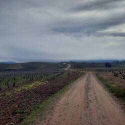 Aus den Wolken bin ich gekommen.