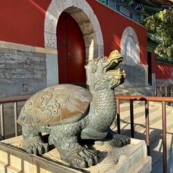 Glücksschildkröten Drache jaja