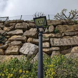 Apologies to these lanterns, which I thought were fake and insincere. I've just noticed they're LED