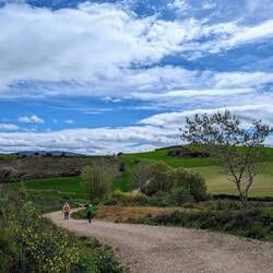 It rained before this and it rained after, but this was lovely.