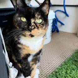 Always a princess 👑