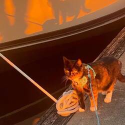 The moon goddess unleashing her shadow from within 🙀