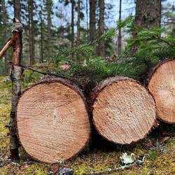 War gar nicht so schwer, eine 1 vor die drei Nullen zu bringen...
