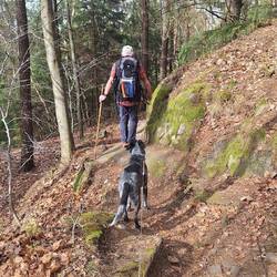 Was für ein wunderbarer Wandertag!