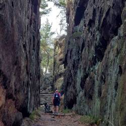 Es geht weiter mit den Überraschungen!