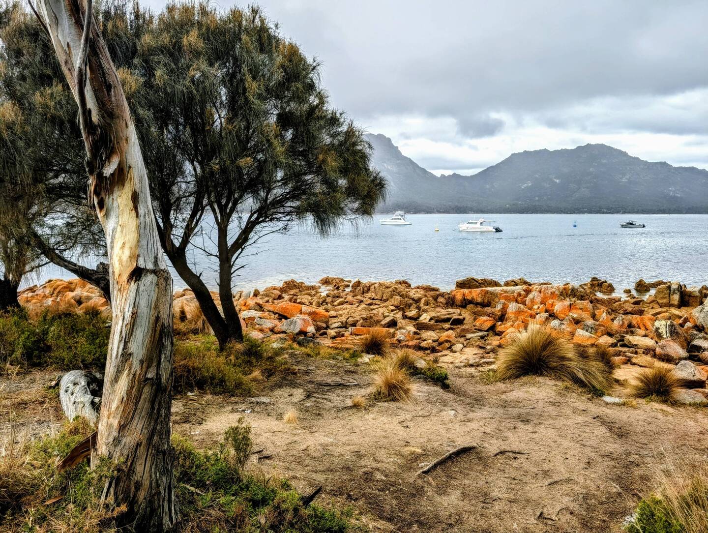 Coles Bay