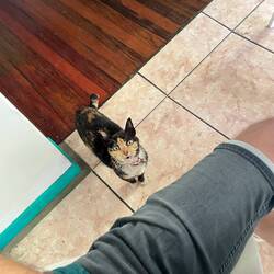 Da wollte jemand etwas von unserem Morgenessen😺