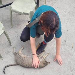 Nelly im 7. Himmel 🐱