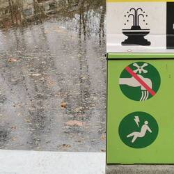 Versteh ich nicht... Man darf keine Tiere aussetzen, 🤔 aber soll mit dem Bauch Blitze einfangen?