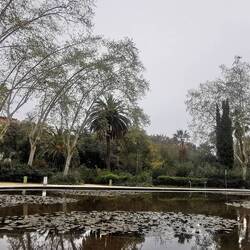 Umzug auf eine Bank, weil sich neben mir 3 multikulti-Familien im Café nieder ließen...