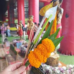 Von mir gab's kein Hähnchen.