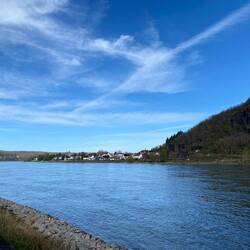 Ausblick auf den Rhein
