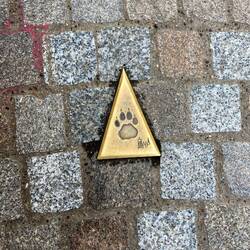 Das Rätsel können wir nicht zu Ende lösen!