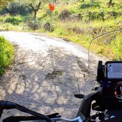 Irgendwie hatte ich ein komisches Gefühl...