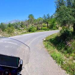 Jetzt gibt es öfters Blumen am Strassenrand