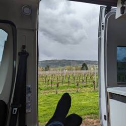 Chillen aufm Weingut ☺️
