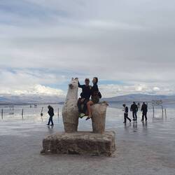 Kurzer Ritt auf dem Salzlama.