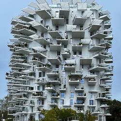 "Der weiße Baum" Fujimoto