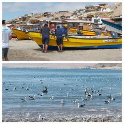 Am Hafen von Puerto Vieja