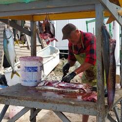 Der Fisch wird zubereitet