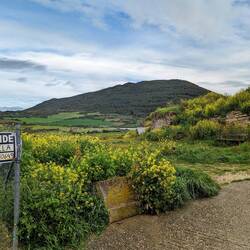 Bitta land anyone? I get commission obvi.