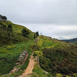Roman road, looking back.